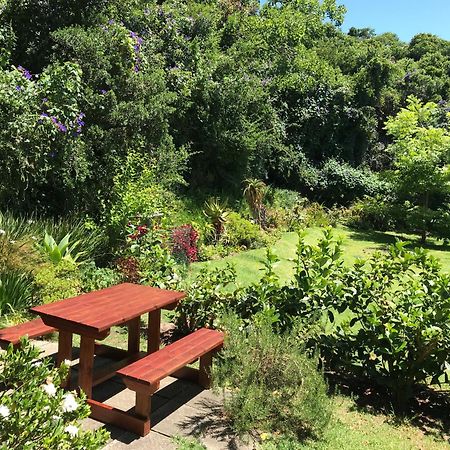 Loeriewood Garden Apartment, Hunters Home Knysna Eksteriør billede