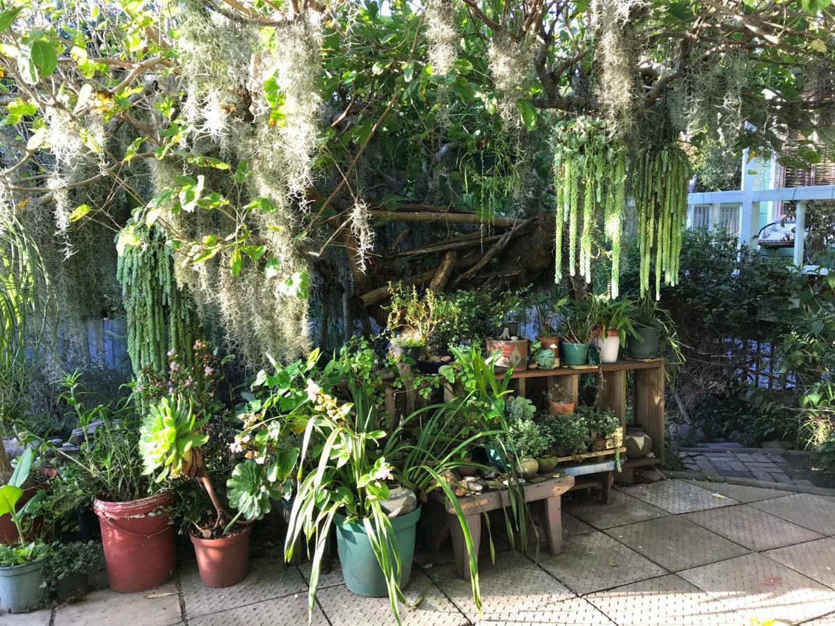 Loeriewood Garden Apartment, Hunters Home Knysna Eksteriør billede