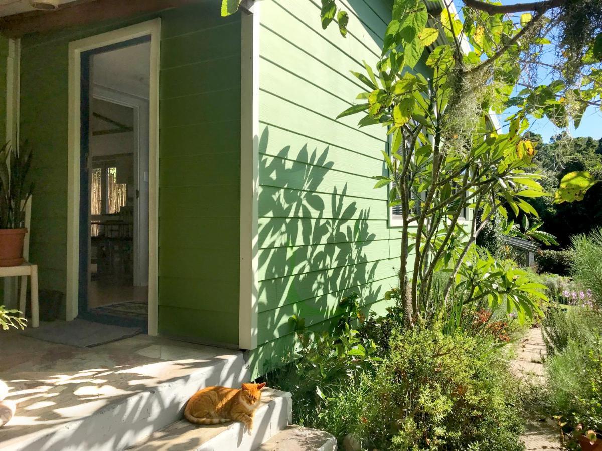 Loeriewood Garden Apartment, Hunters Home Knysna Eksteriør billede